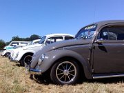 Beetle Show Rioz (20)